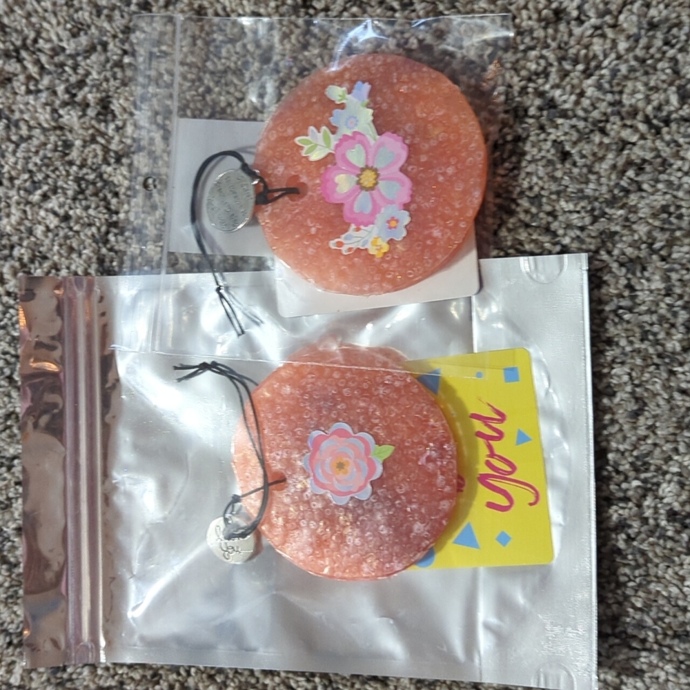 Apples and cinnamon car truck camper locker hamper closet air fresheners